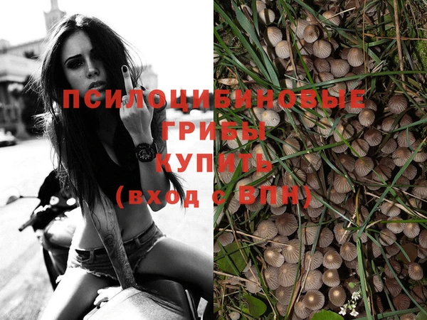 apvp Беломорск