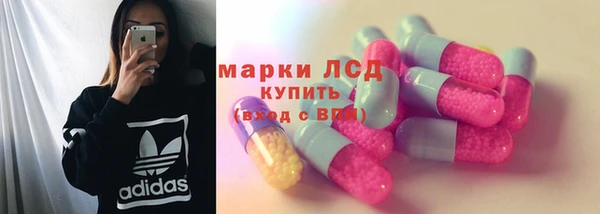 трава Белокуриха