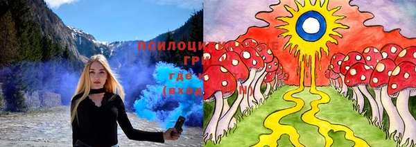 трава Белокуриха