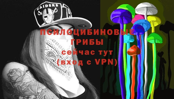 apvp Беломорск